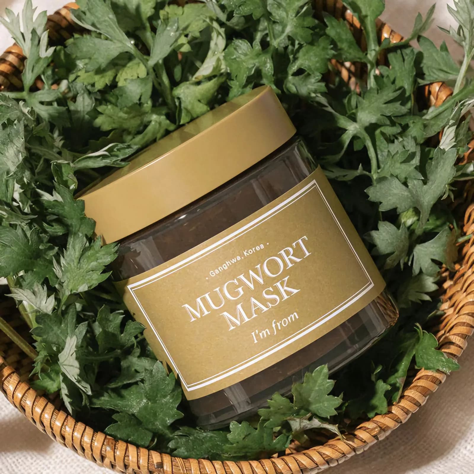 Mugwort mask texture green herbal paste close-up